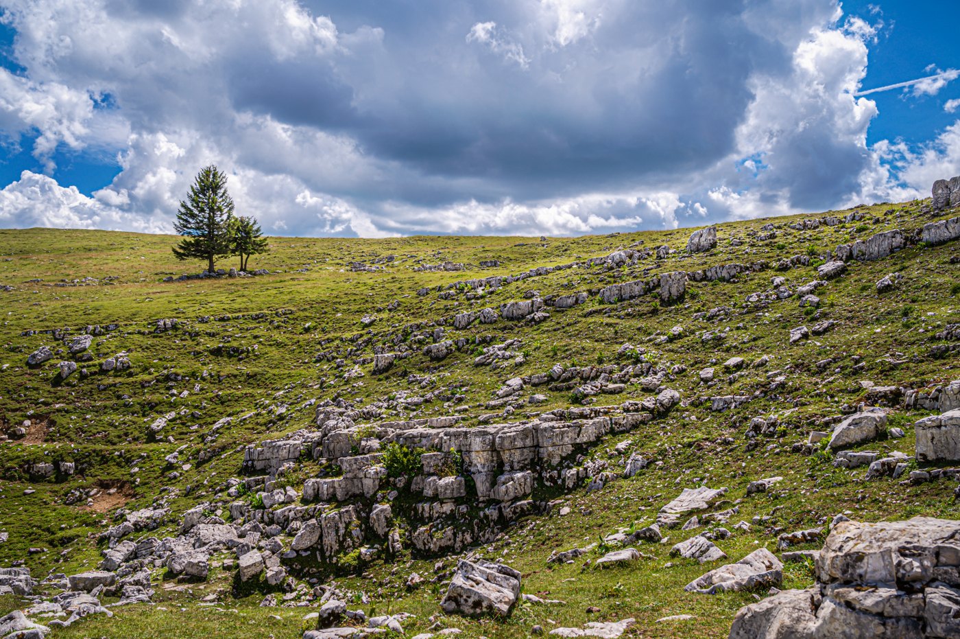 Paysage naturel jurassien