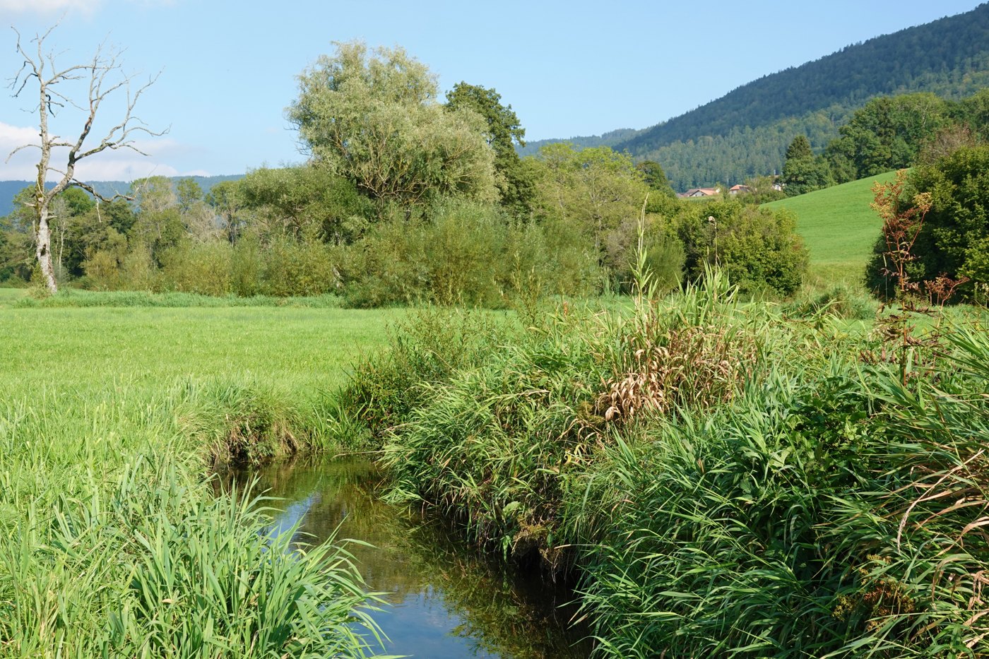 Cours d’eau et paysage du Val-de-Ruz