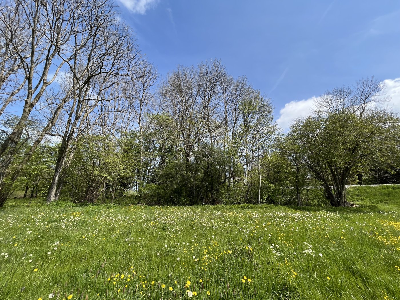 Milieux naturels à Semsales
